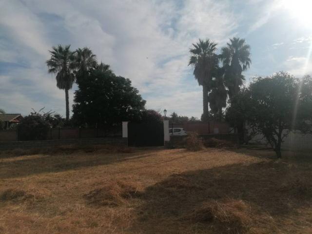 Casa en venta en Carmona, Andalucía