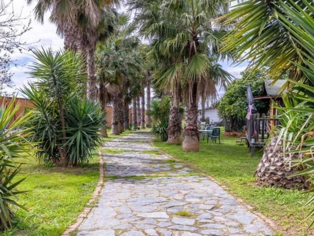 Casa en venta en Urbanización la Algabarra, Carmona