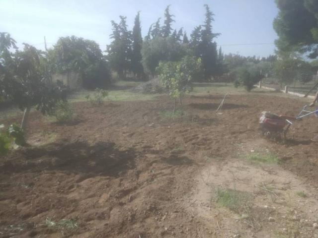 Casa en venta en Campo de Cartagena y Mar Menor, Murcia