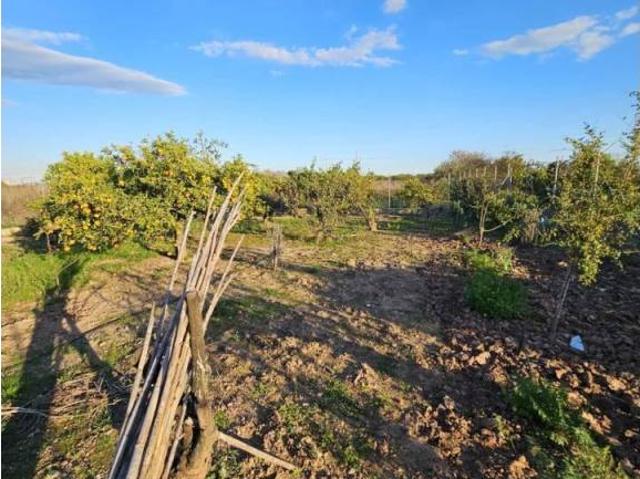 Casa en venta en Castellón De La Plana, Este