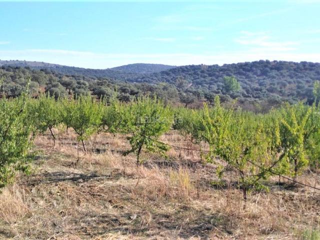 Casa en venta en Castilblanco De Los Arroyos, Andalucía