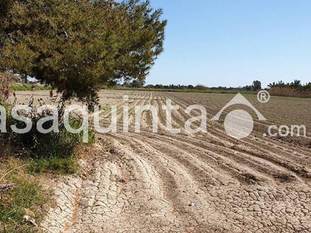 Casa en venta en el Baix Segura / La Vega Baja, Valencia