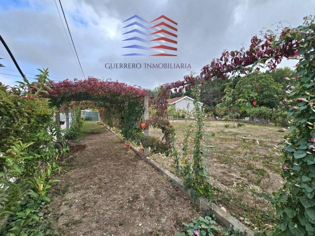 Casa en venta en Celanova, Terra da Celanova
