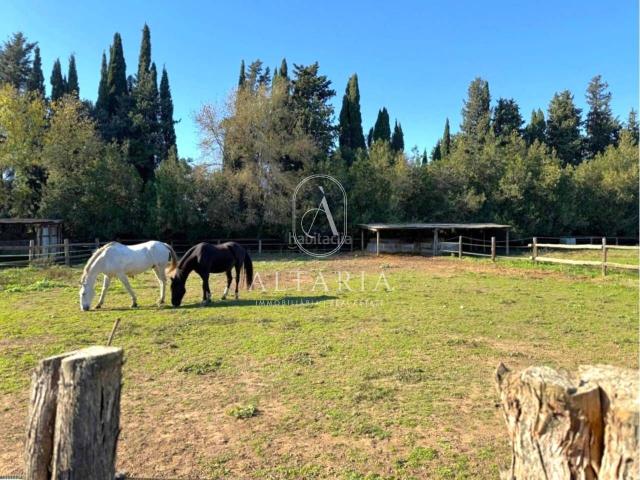 Casa en venta en Gironès, Catalunya
