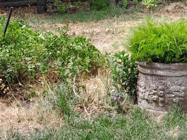 Casa en Venta en Centro Yerbas Buenas