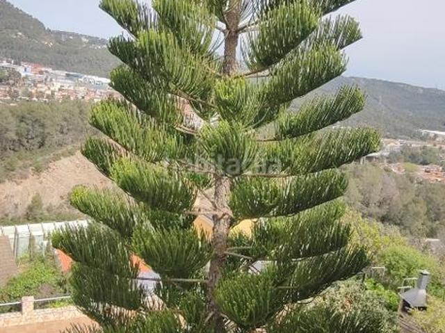 Casa en venta en Cervelló