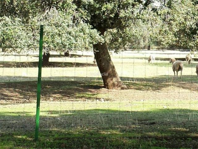 Casa en venta en Chillón, Castilla-La Mancha