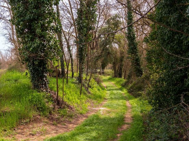 Casa en venta en Baix Empordà, Catalunya