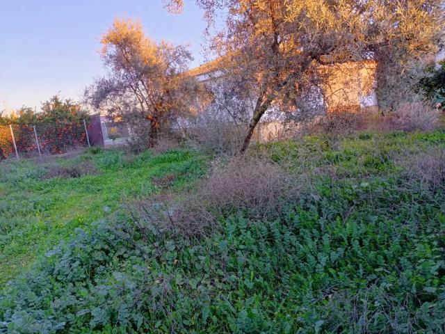 Casa en venta en Córdoba, Andalucía