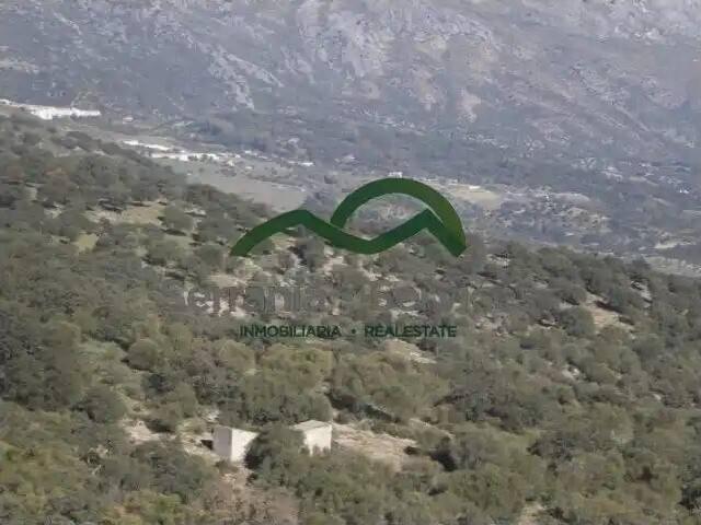 Casa en venta en Serranía de Ronda, Andalucía