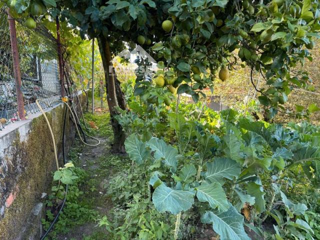 Casa en venta en Covelo, A Paradanta