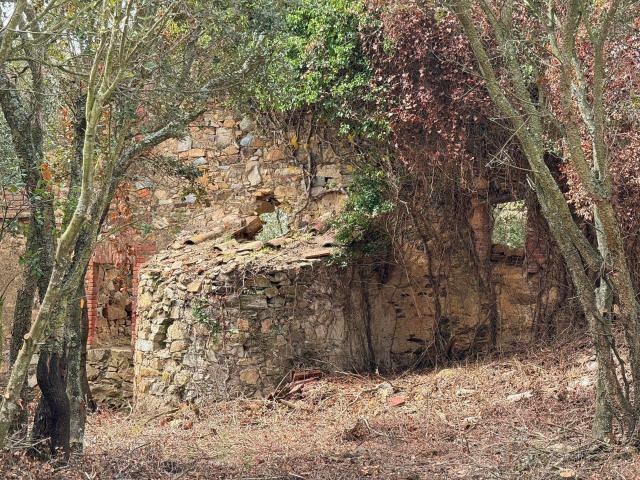 Villa en venta en Cruïlles Monells I Sant Sadurní De L'heura