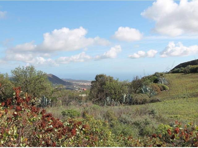 Casa en venta en Los Arenales, Telde