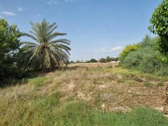 Casa en venta en el Baix Segura / La Vega Baja, Valencia