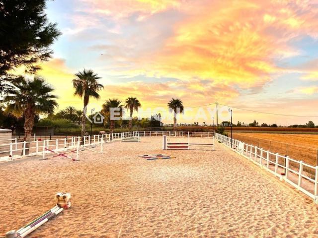 Casa en venta en el Baix Segura / La Vega Baja, Valencia