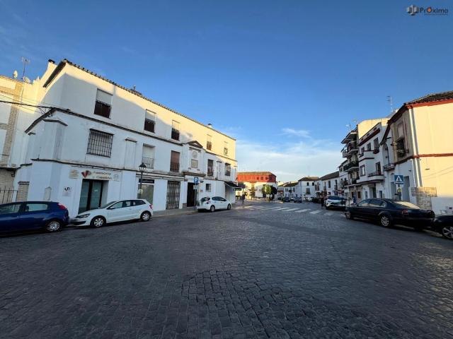 Casa en venta en Écija, Andalucía