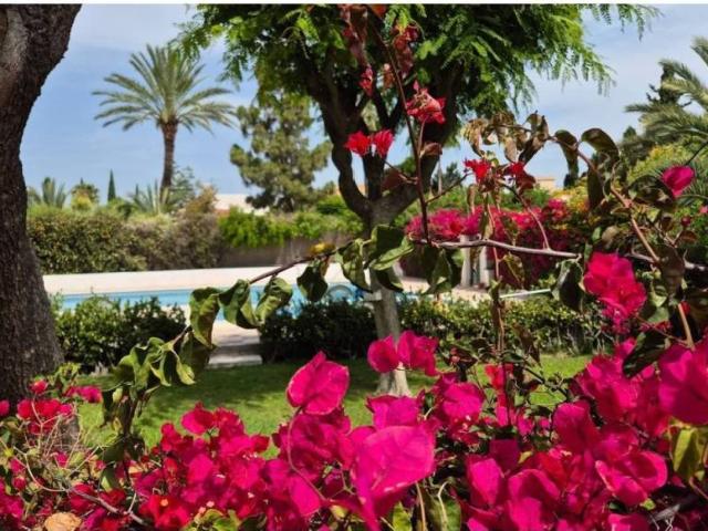 Casa en venta en El Campello, Valencia