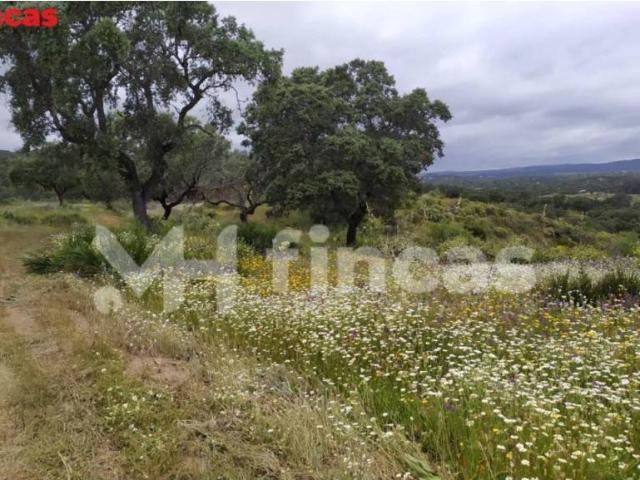Casa en venta en El Castillo De Las Guardas, Andalucía
