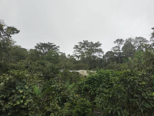 Casa En Venta En El Colegio En Mesitas Del Colegio V292931