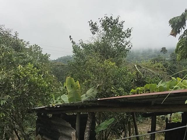 Casa En Venta En El Colegio En Mesitas Del Colegio V292931