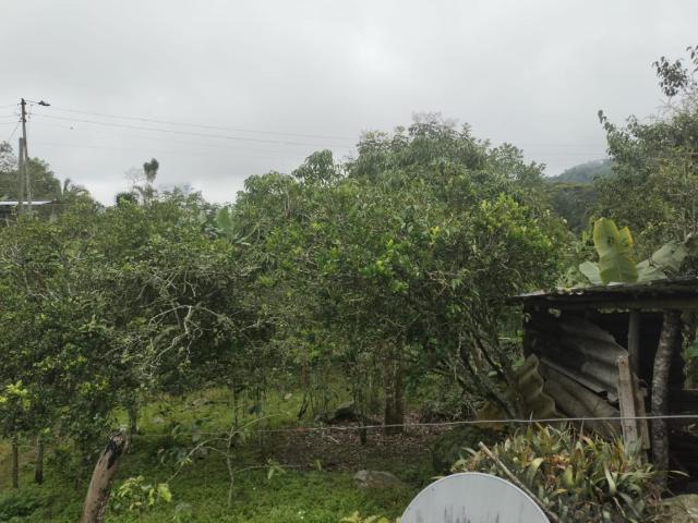 Casa En Venta En El Colegio En Mesitas Del Colegio V292931