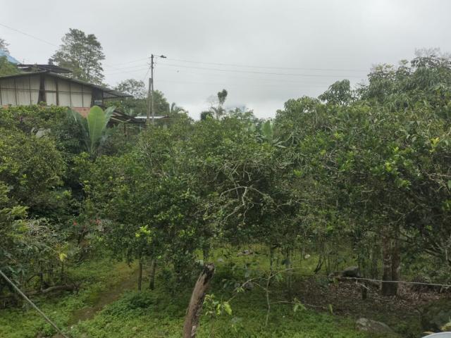 Casa En Venta En El Colegio En Mesitas Del Colegio V292931