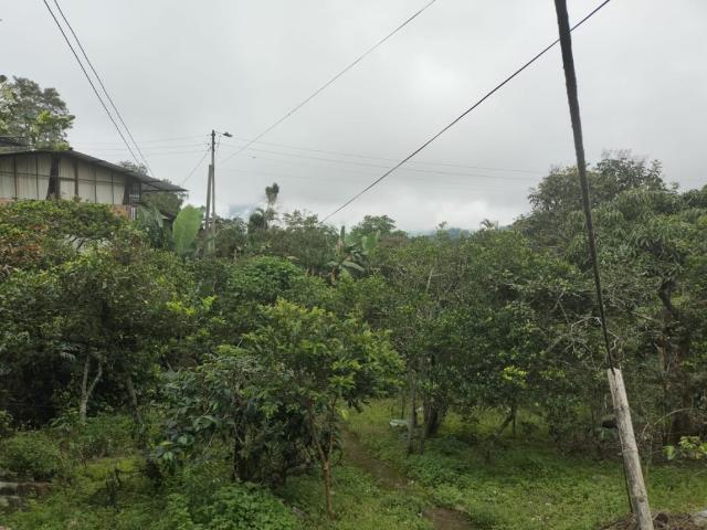 Casa En Venta En El Colegio En Mesitas Del Colegio V292931