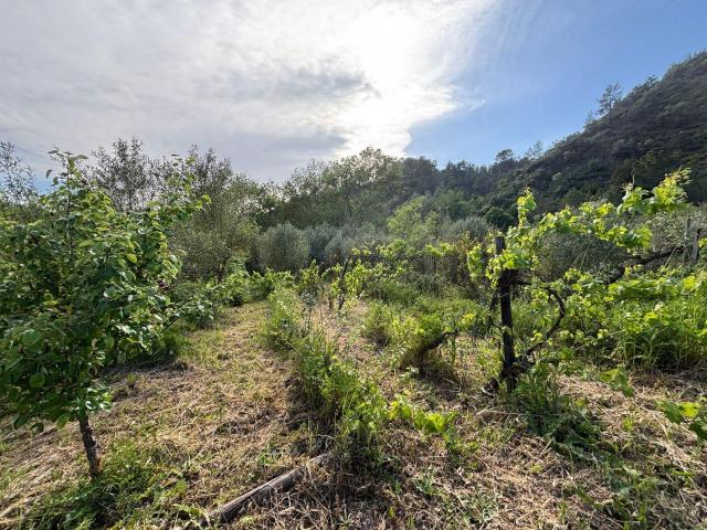 Casa en venta en Priorat, Catalunya