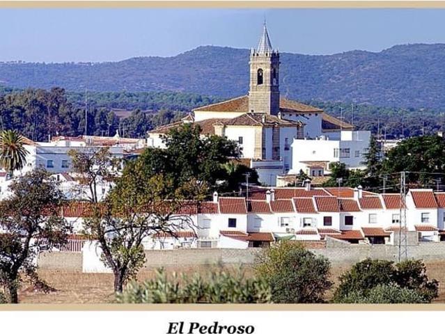 Casa en venta en El Pedroso, Andalucía