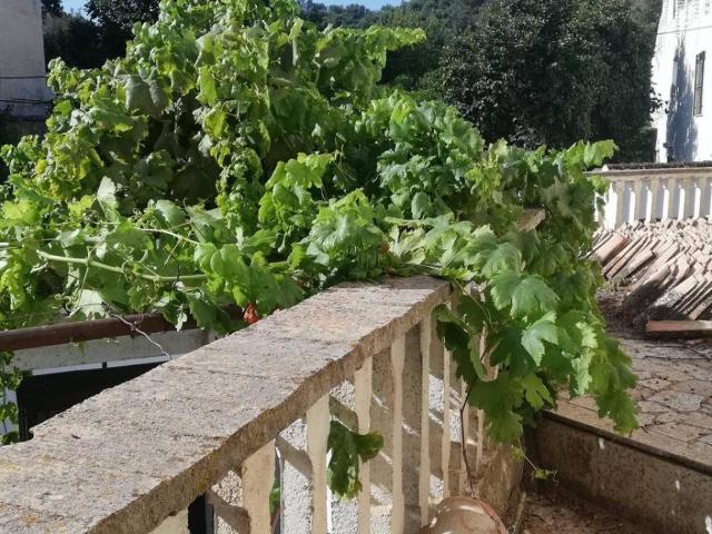 Casa en venta en Pinos del Valle, Comarca del Valle de Lecrín
