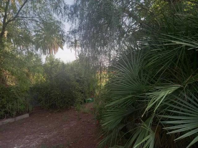Casa en venta en el Baix Vinalopó, Valencia