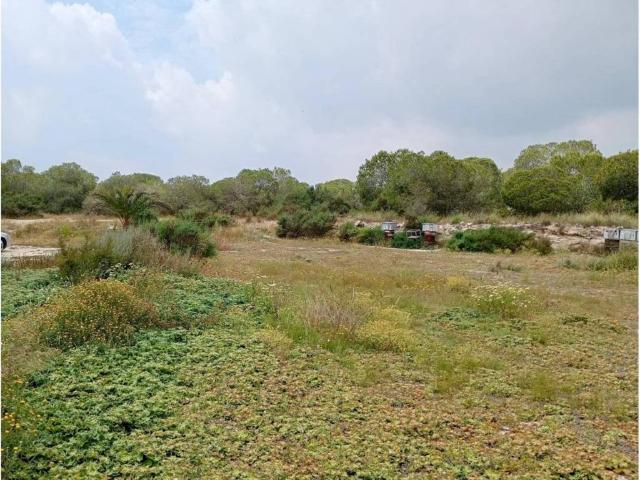 Casa en venta en el Baix Vinalopó, Valencia