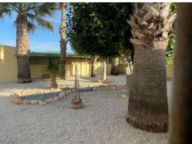 Casa en venta en Dones de les Palmes, el Baix Vinalopó