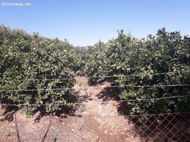 Casa en venta en Estación de Cártama, Valle del Guadalhorce