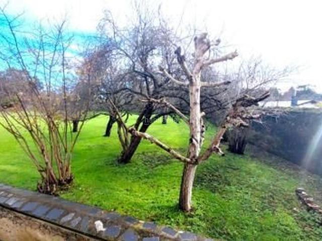 Casa Rural en venta en El Franco, El Franco