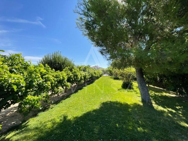 Casa en venta en Valdetorres De Jarama, Madrid