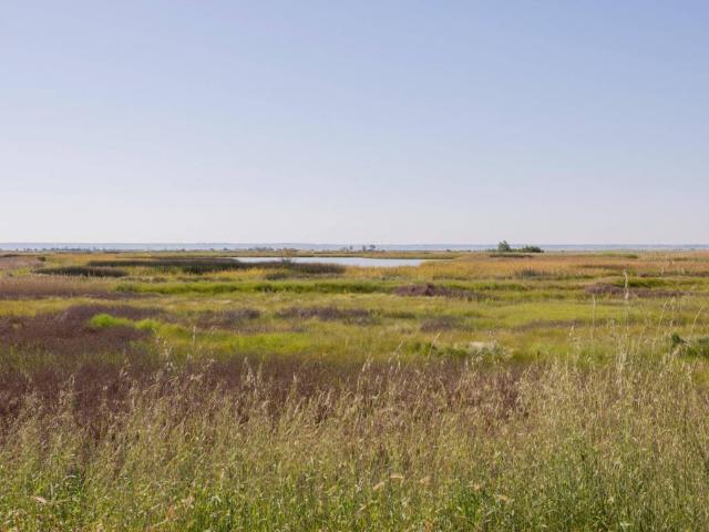 Casa en venta en Fuentes De Nava, Castilla y León