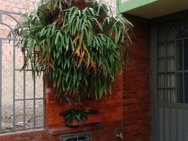 Casa En Venta En Fusagasuga En Urbanizacion San Jorge V247363