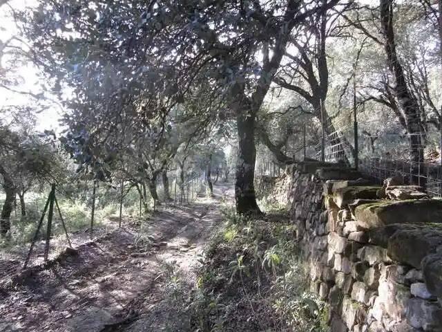 Casa en venta en Serranía de Ronda, Andalucía