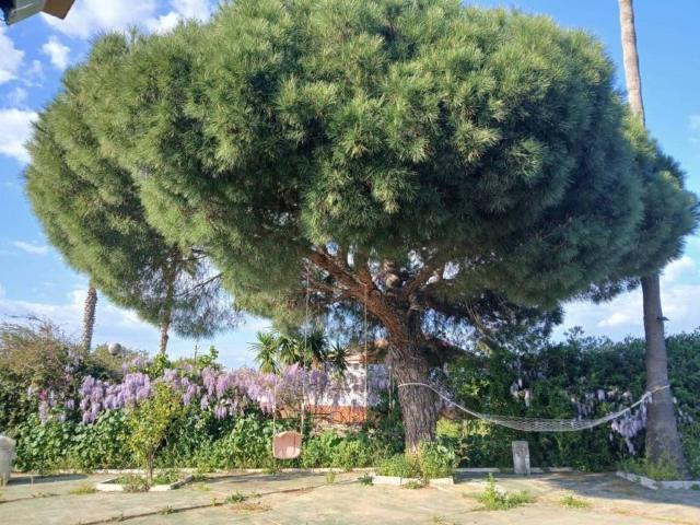 Casa en venta en Comarca Metropolitana de Huelva, Andalucía