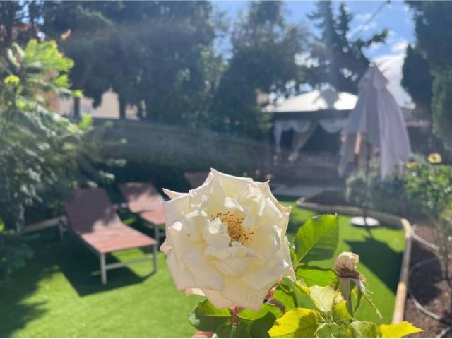 Casa en venta en Charco del Pino, Granadilla de Abona