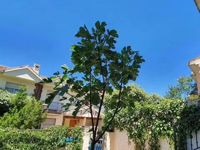 Casa en venta en Guadalix De La Sierra, Madrid