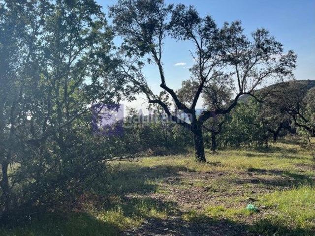 Casa en venta en Herguijuela, Extremadura