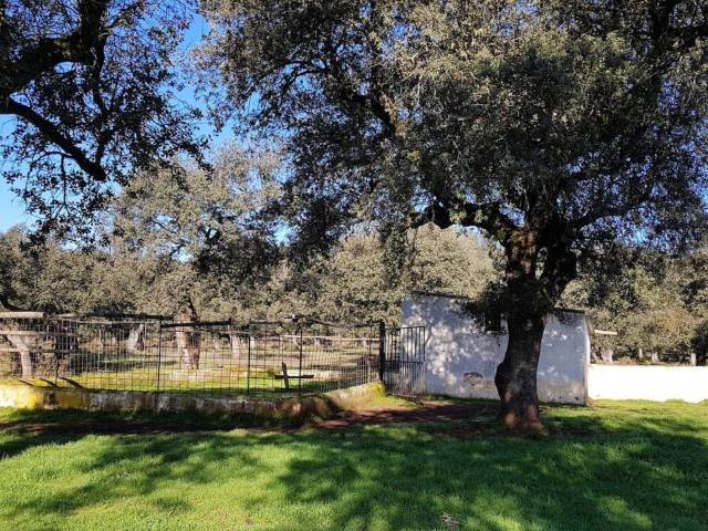 Casa en venta en Higuera De La Sierra