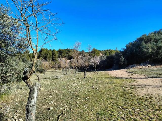 Casa en venta en Terra Alta, Catalunya