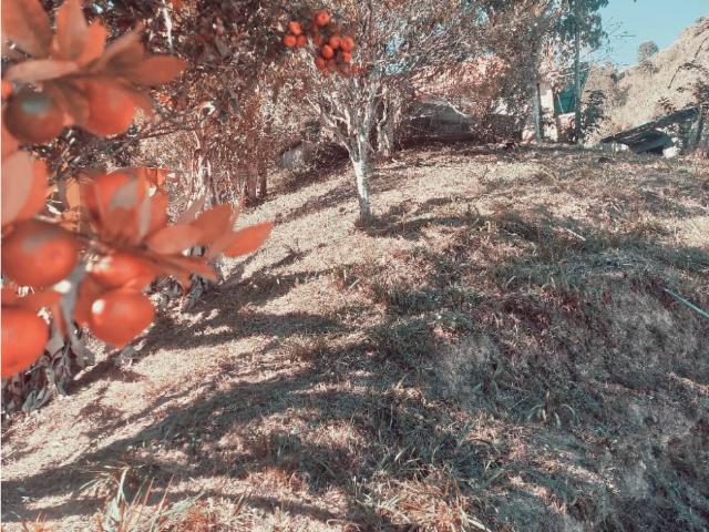 Casa en venta en Distrito Capital