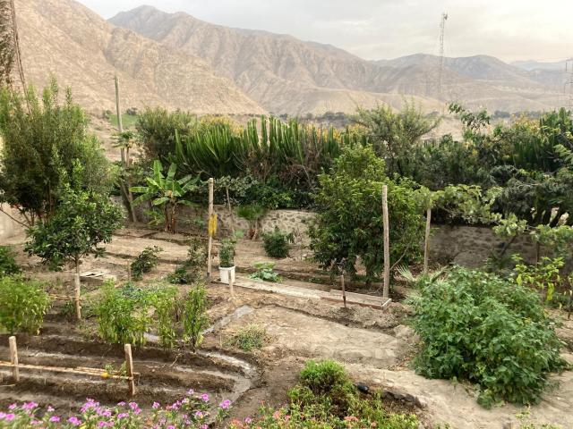 Casa venta en Humay, Ica