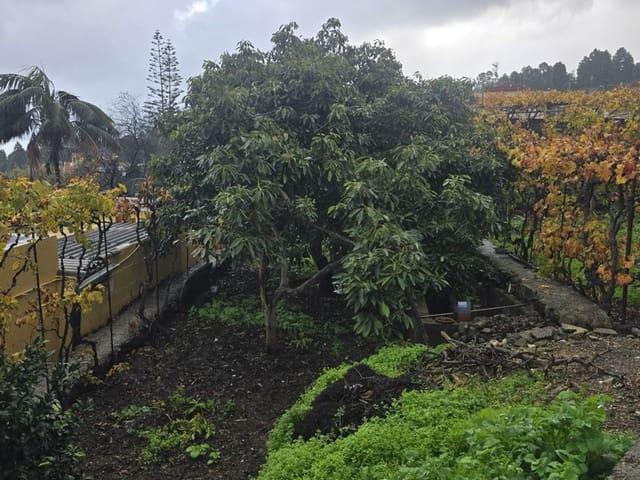 Casa en venta en Icod de los Vinos, Canarias