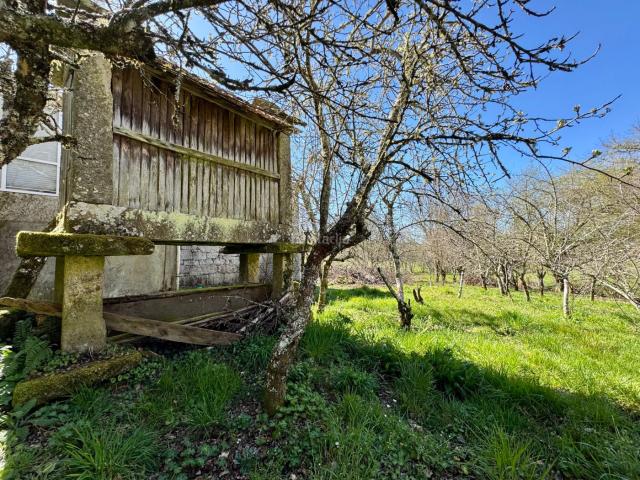 Casa en venta en O Carballiño, Galicia