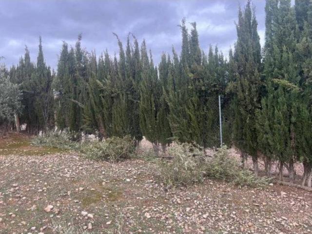 Casa en venta en Grañena, Jaén
